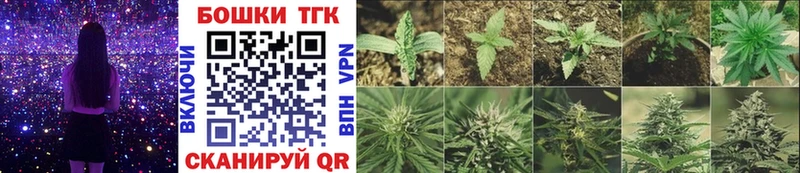 Канабис SATIVA & INDICA Ачинск